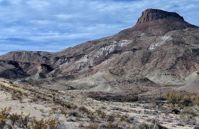 Barton Warnock Environmental Education Center