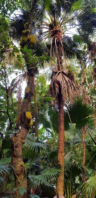 Parfums et des Epices Garden