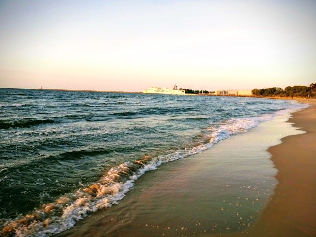 Park Brzeznienski them. J. J. Haffnera