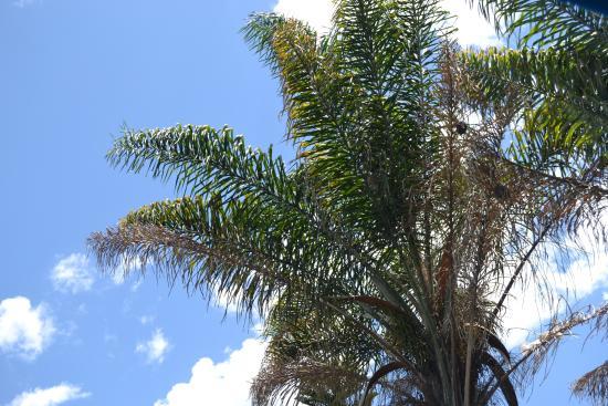 Merica Hotel Restaurant