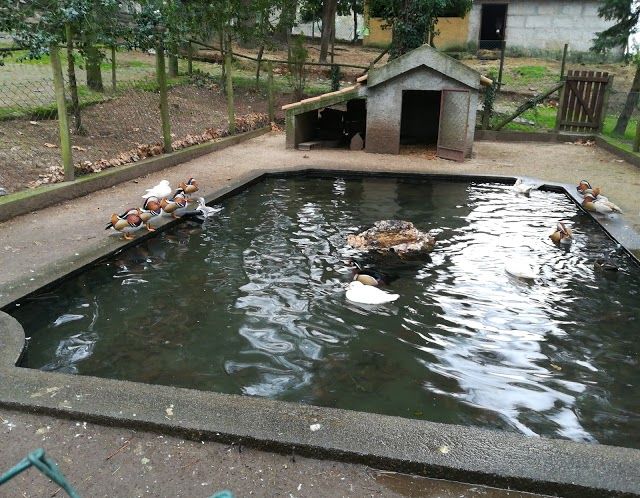 Parque Ecologico De Gouveia