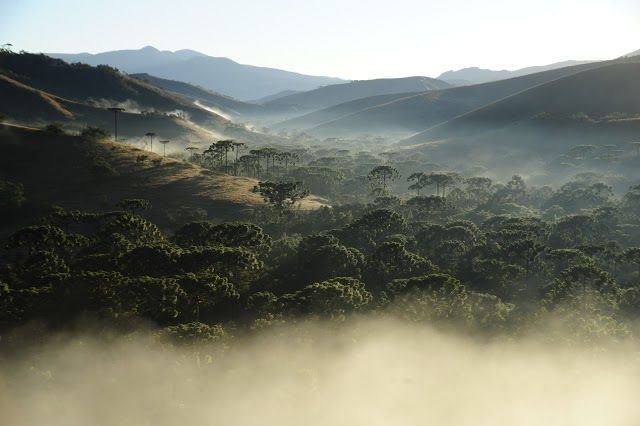 Parque Estadual da Serra do Papagaio