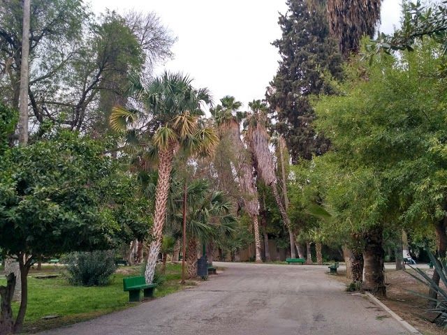 Venustiano Carranza Forest Park