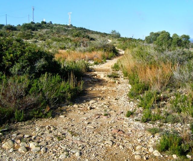Poblat Iberic de la Moleta del Remei