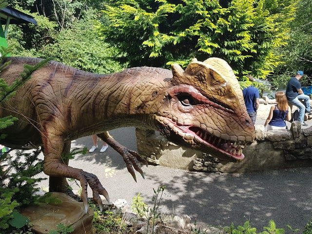 Matlock Bath railway