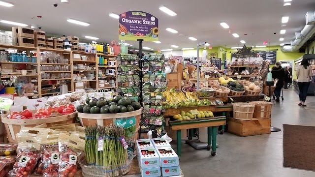 Common Crow Natural Market