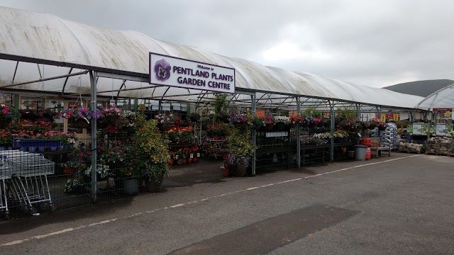 Pentland Plants