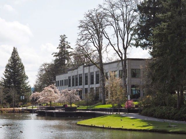 Hillsboro Brookwood Library