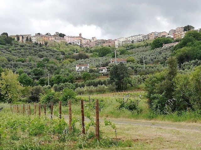 Castagneto Carducci