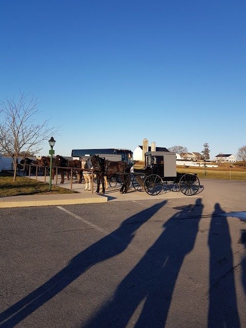 Bird In Hand Farm Supply