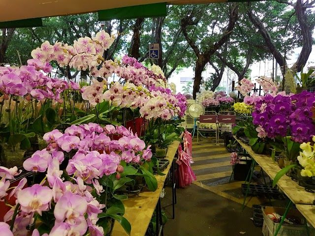 The Taipei Jianguo Jade & Flower Market