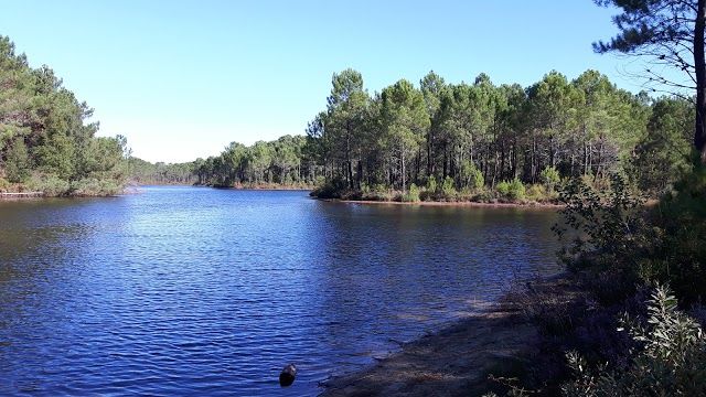 Etang de Lacanau