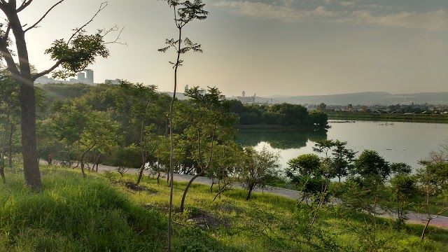 el Parque Querétaro 2000