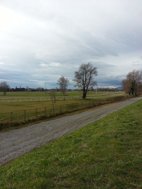 Pferderennbahn Zagreb