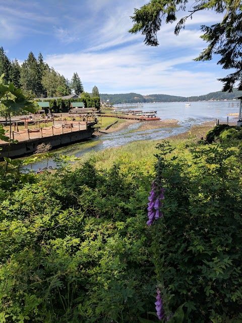 Cameo Boutique & Wine Shop