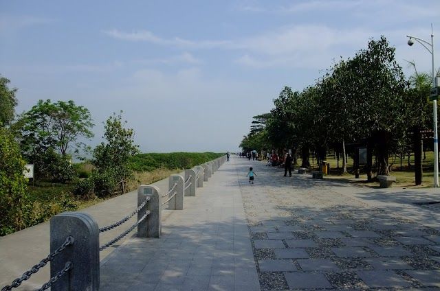 Mangrove Lin Haibin Park