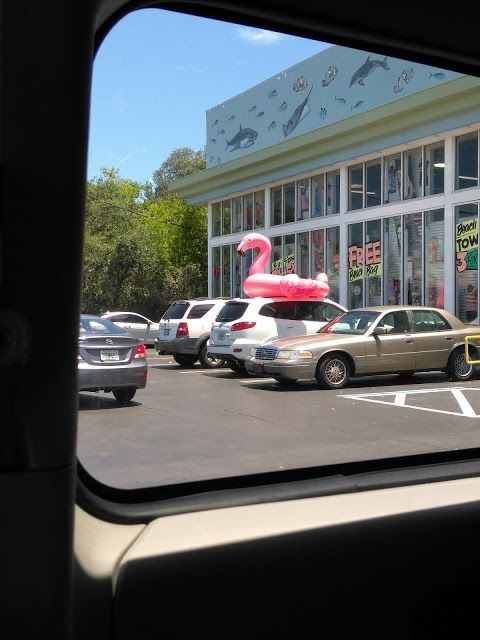 Alvin's Island Saint Augustine #751