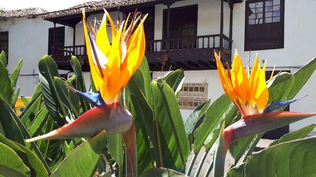 Plaza de la Pila Bodega Souvenir