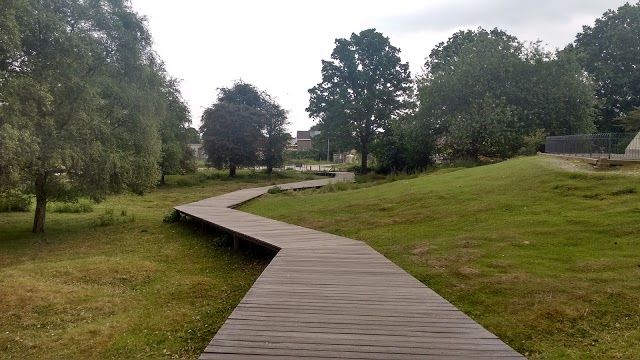 Bataille de la colline 60