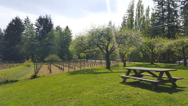 Whidbey Island Winery
