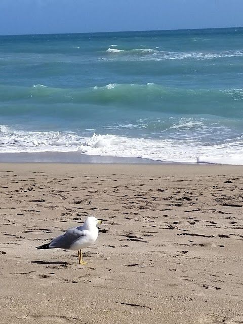 Jensen Beach Park