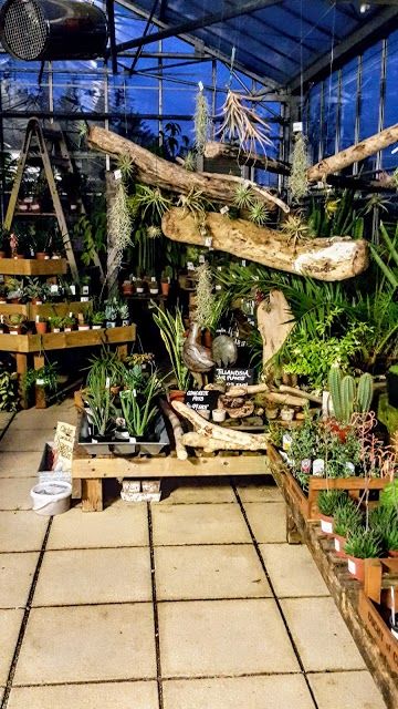 Duchy Of Cornwall Nursery