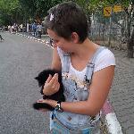 T.G.I.F. Mecenatpolis Store