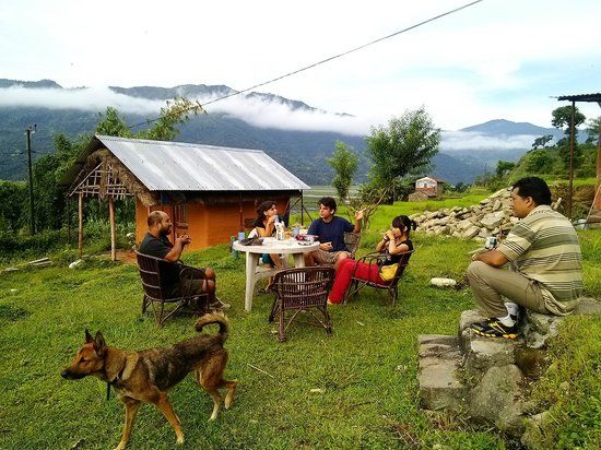 Into the Wild Cottages