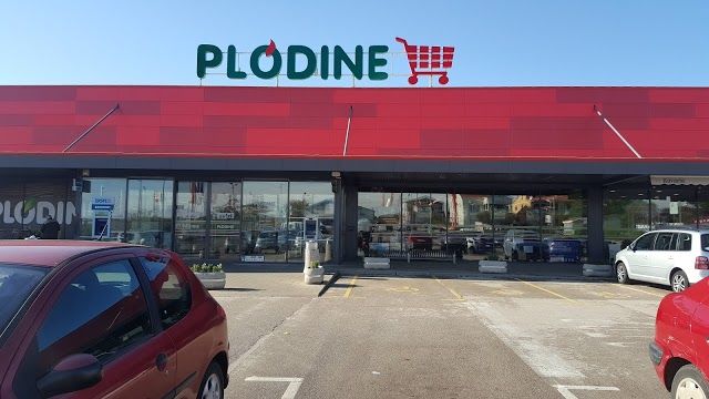 Plodine