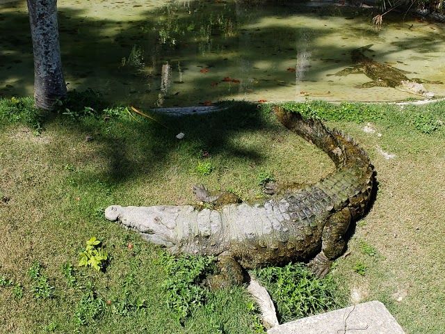 Parque Zoológico Nacional
