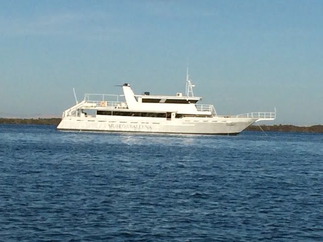 Museo de La Ballena y Ciencias del Mar