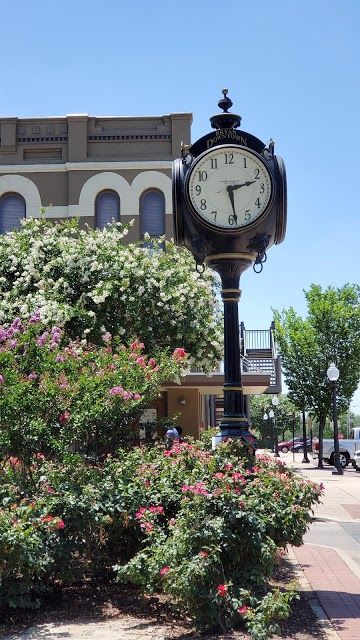 The Downtown Bryan Association