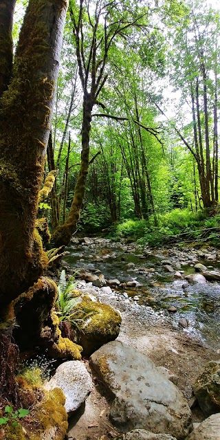 Holland Creek Trail Head