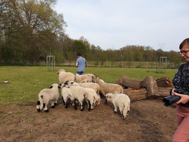 Kinderboerderij Juffertje in't Groen