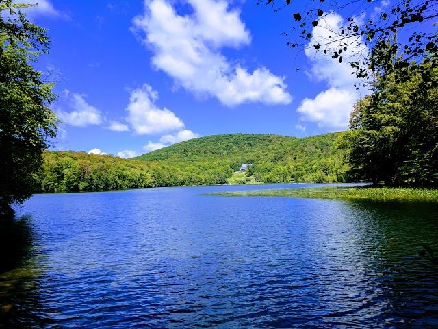 Domaine naturel du lac Gale
