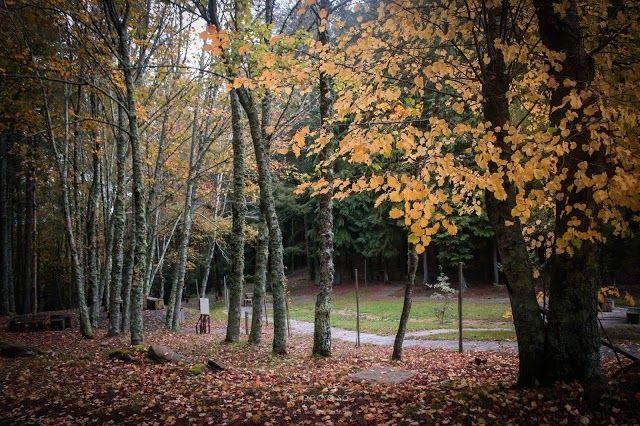 Parque do Ladario