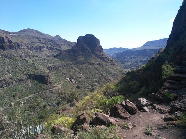 Burro Safari Santa Lucia