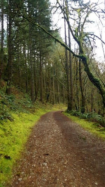 Sequalitchew Creek Trail Head