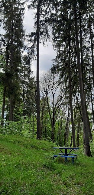 Park Fountain with Cherries