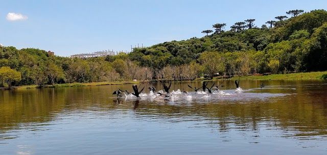 Municipal Lake Cascavel-PR