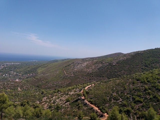 Dimosio Dasos Rapentosas