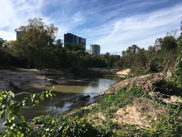 Washington Avenue Coalition