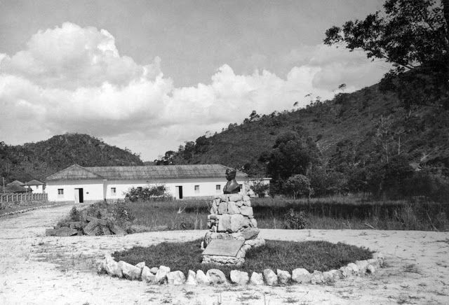 National Institute of the Atlantic Forest