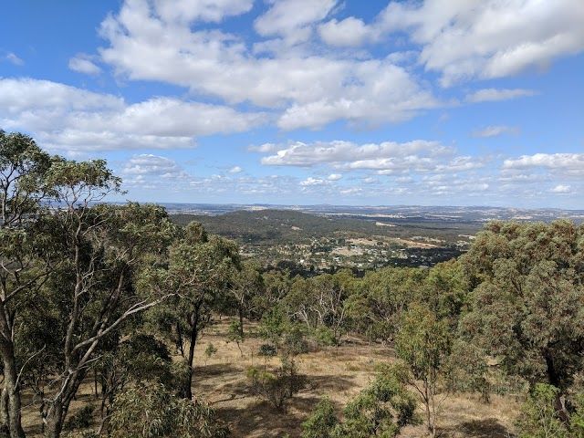 Mount Tarrengower Lookout