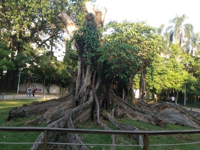 Parque Prefeito Celso Daniel