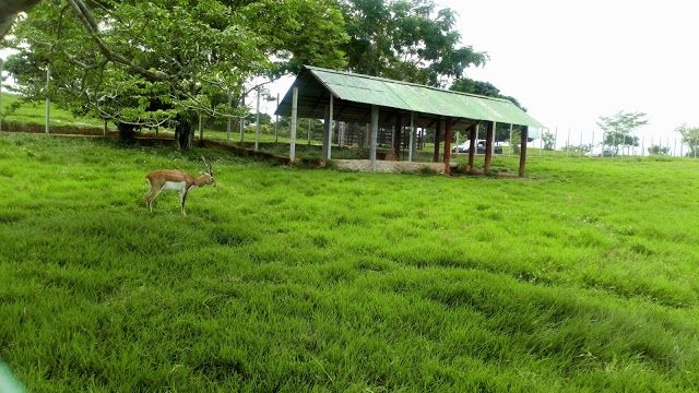 Tematico Hacienda Napoles Park