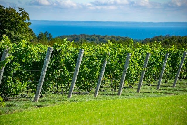 Leelanau Peninsula Wine Trail