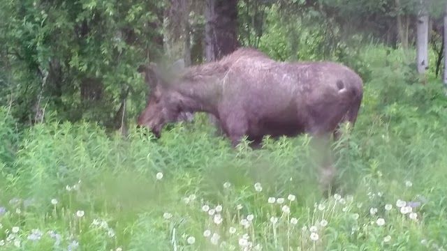 Talkeetna Lakes Trailhead