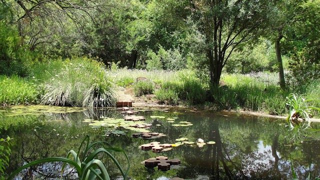 North-West University Botanical Garden