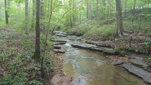 Natchez Trace National Scenic Trail